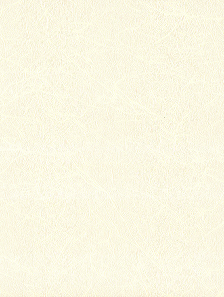 思緒 / 歐拉板